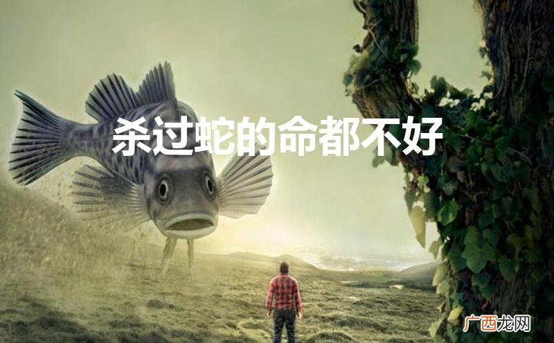 杀过蛇的命都不好对子女有什么影响 杀过蛇的命都不好