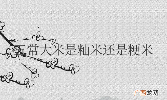 五常大米是籼米还是粳米
