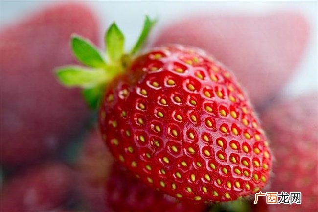 五种以草莓为原料的甜品做法:味道鲜甜美味 色彩艳丽