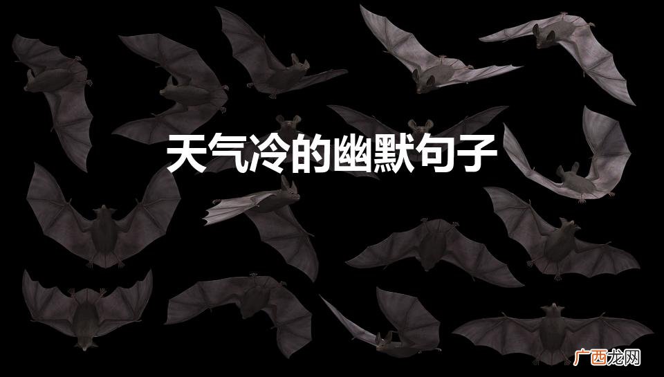 天气突然变冷了的幽默句子 天气冷的幽默句子