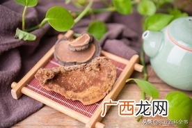 快速辨别桑黄技巧 如何鉴别真假桑黄黄的方法