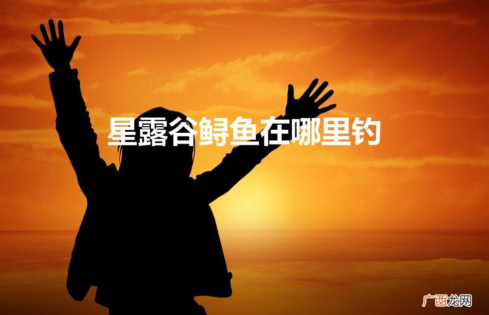 星露谷物语鲟鱼在哪里钓 星露谷鲟鱼在哪里钓