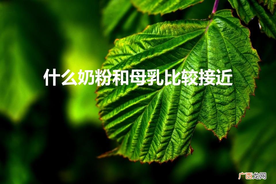最接近母乳的奶粉是什么 什么奶粉和母乳比较接近