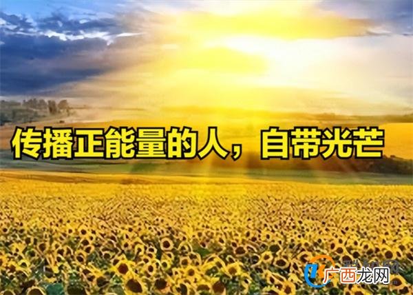 女网红是否因不当言论禁言30天 网络言论是否有社会责任_酷知科普