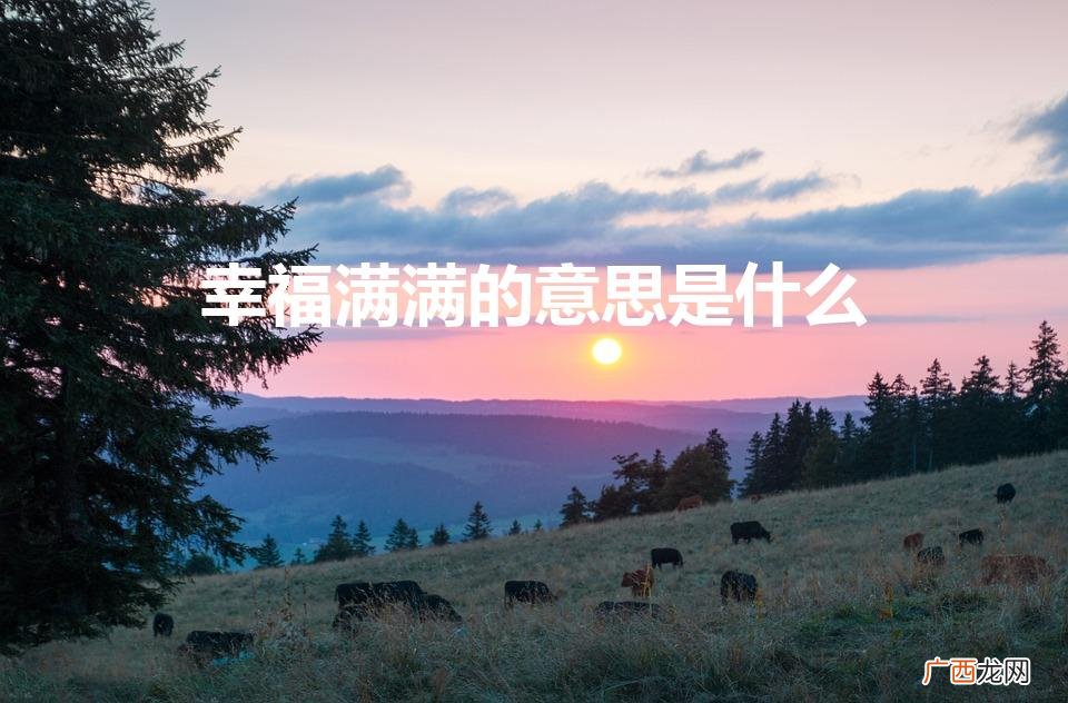 幸福无尽 幸福满满的意思是什么