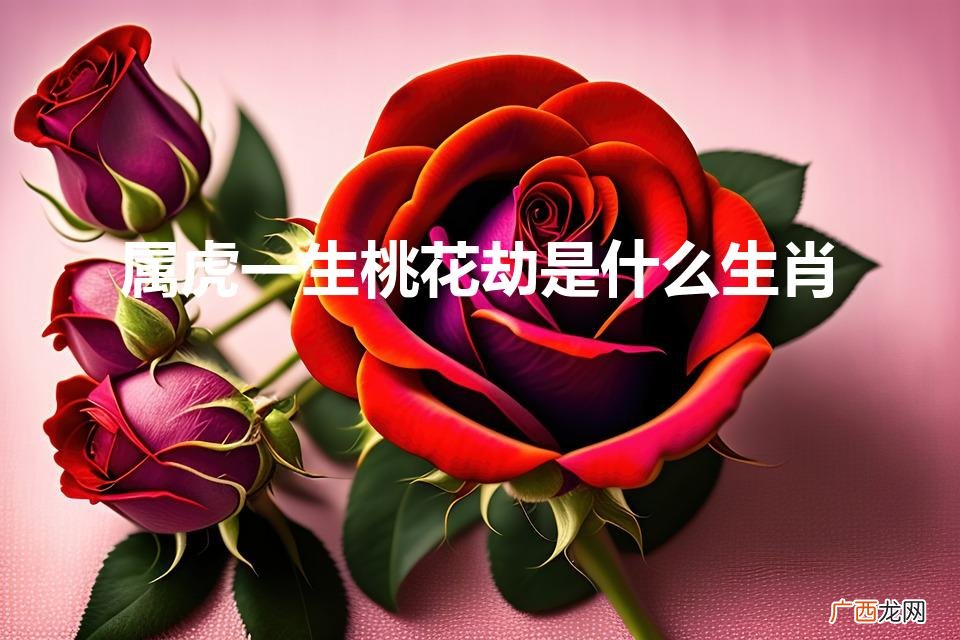 1986年属虎的桃花劫是谁 属虎一生桃花劫是什么生肖