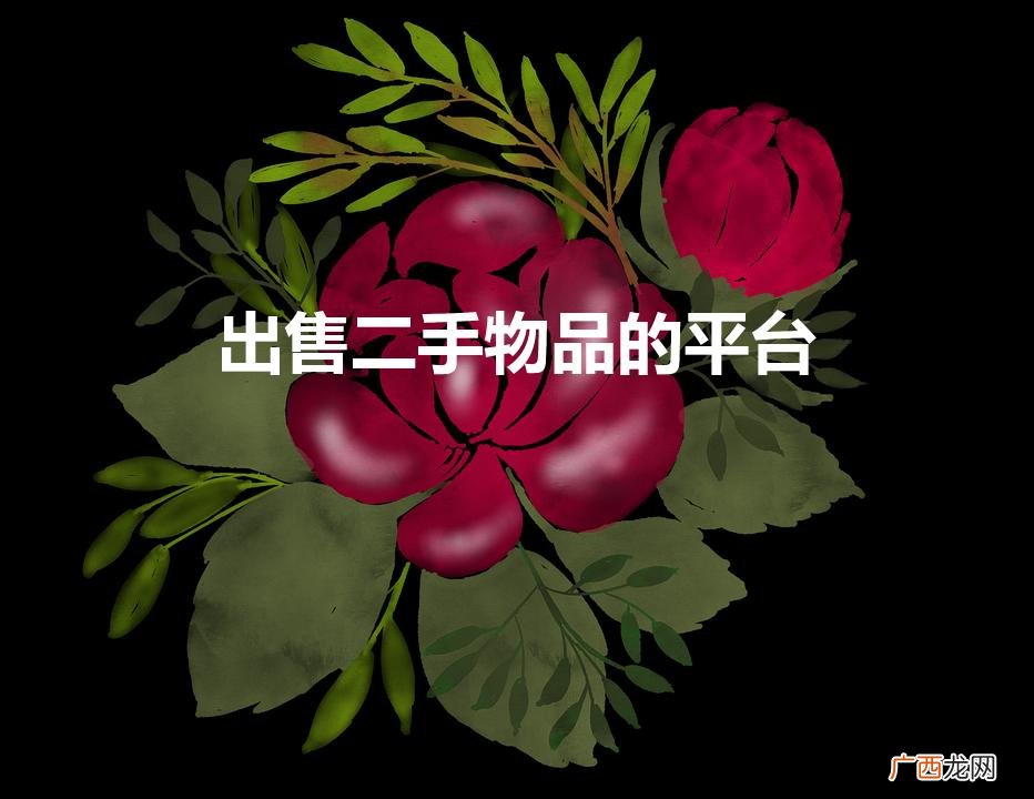 出售二手物品的平台（女儿国交易二手私人衣物app)
