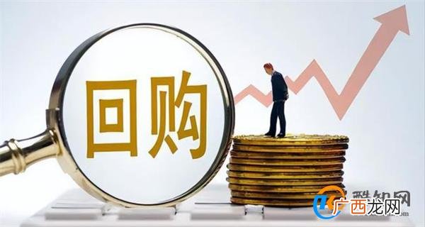 专家建议国家拿出30万亿回购房产 国家应出手帮助房市吗_酷知科普