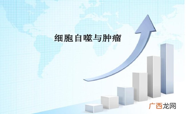 ?细胞自噬对机体有哪些作用，可以用来减肥吗