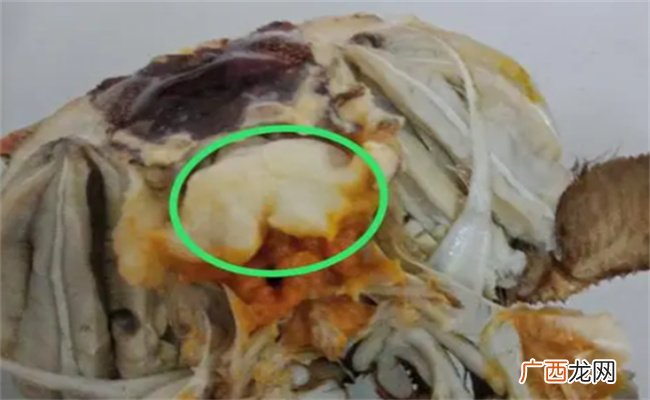 螃蟹里面的那个白色的膏体可以吃吗，螃蟹不适合哪些人吃