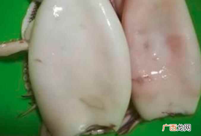 鱿鱼的功效与作用都有哪些