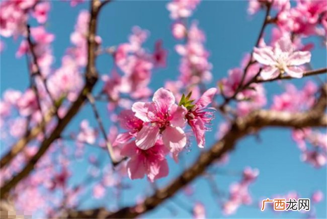 什么样八字的人容易成为名人呢