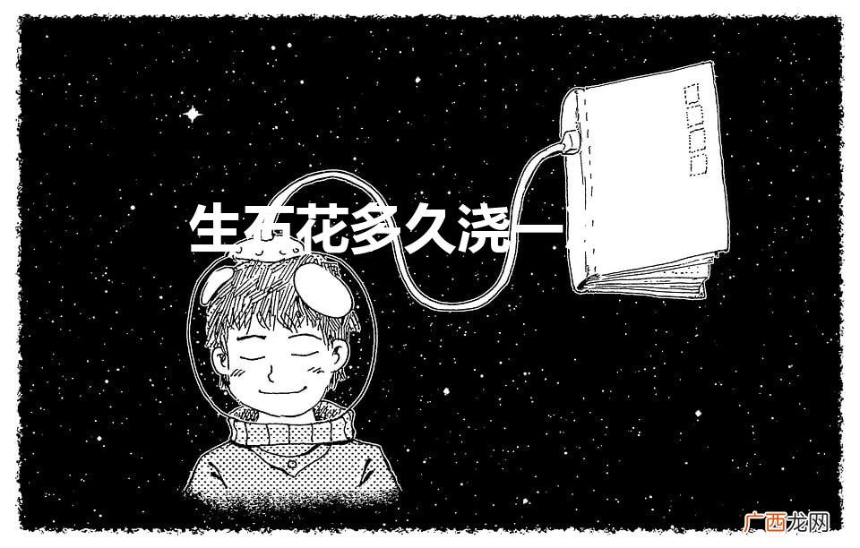 生石花多久浇一次水(生石花的养殖方法和注意事项)