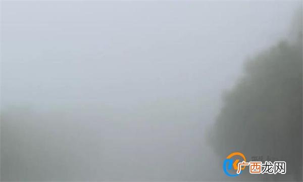 成都大雾网友睡了一觉成仙了 成都大雾堪比寂静岭