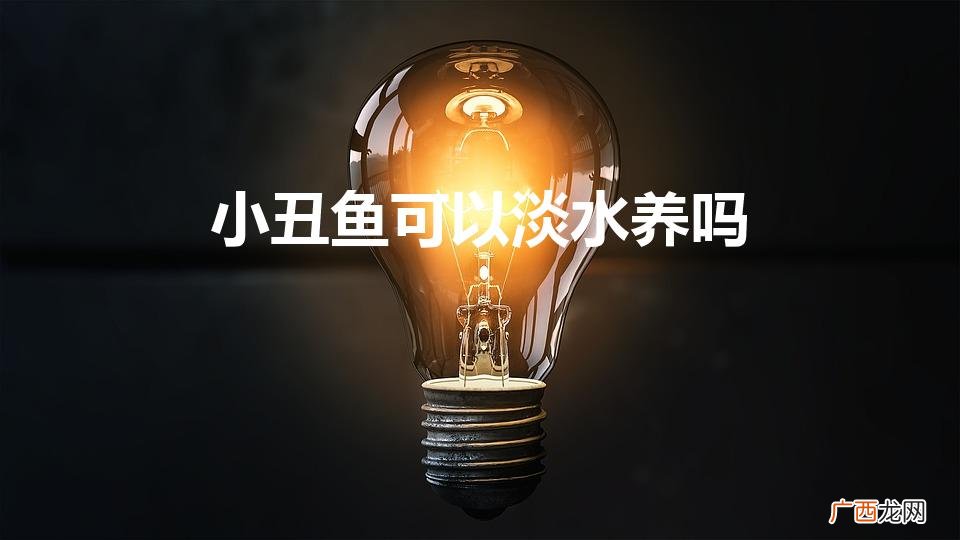 小丑鱼可以淡水养吗,应该怎么养 小丑鱼可以淡水养吗