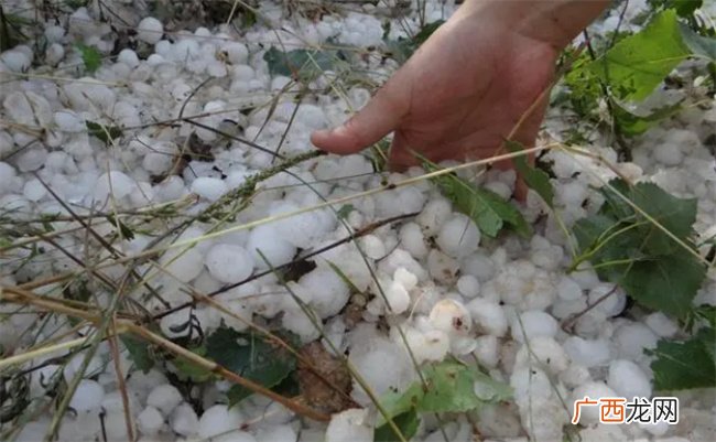?冰雹是怎么形成的 冰雹属于凝固还是凝华