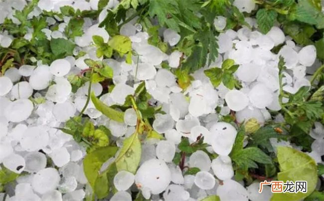 ?冰雹是怎么形成的 冰雹属于凝固还是凝华