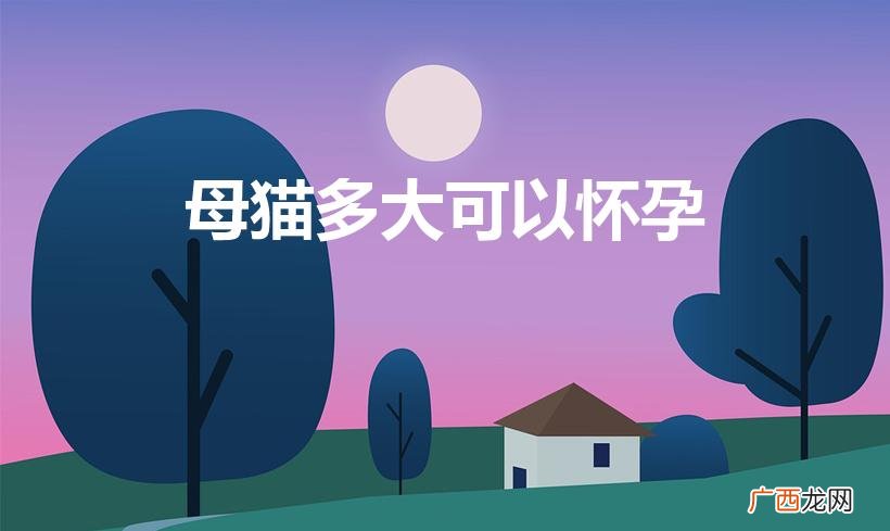 母猫一般几个月可以怀孕 母猫多大可以怀孕