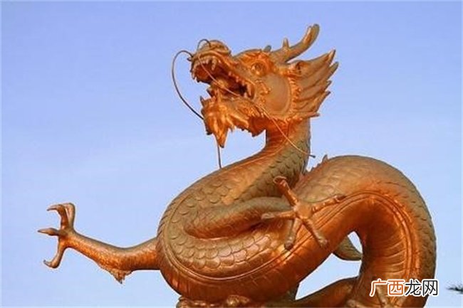 24年出生的属龙人命运如何呢