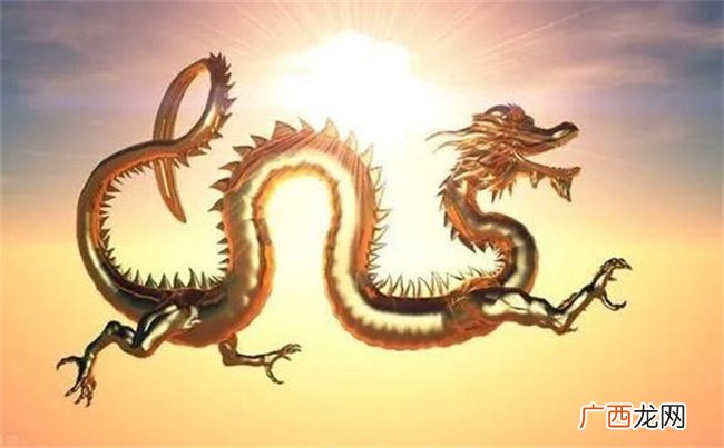 24年出生的属龙人命运如何呢