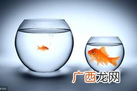 女孩子为什么喜欢被比的心理