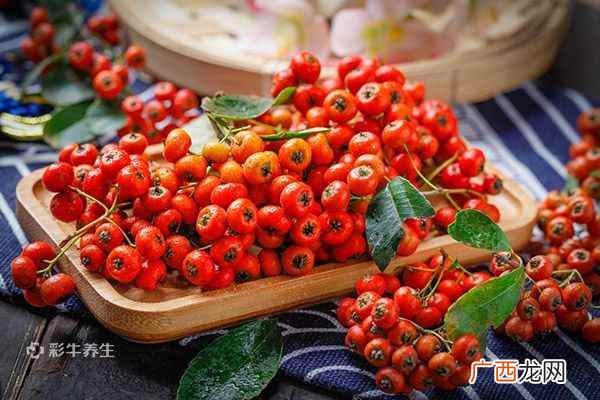 沙棘的功效与作用 沙棘的功效与作用吃法