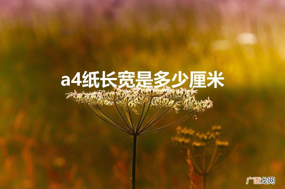 a4纸的长和宽是多少厘米 a4纸长宽是多少厘米