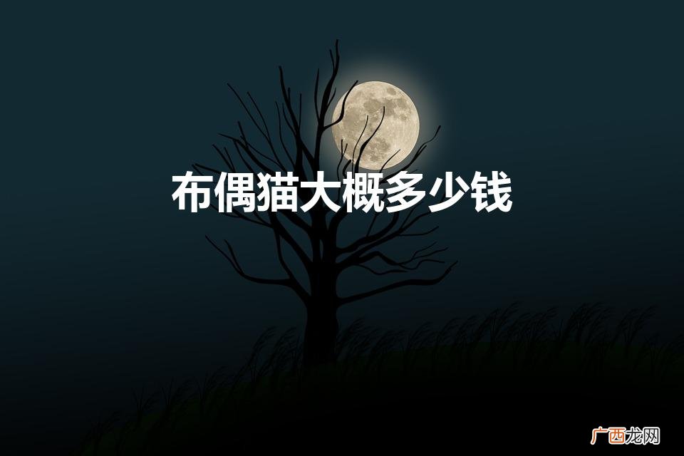 布偶猫的价格一般是多少钱一只 布偶猫大概多少钱