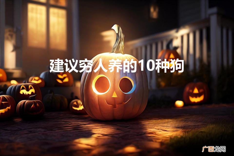 建议穷人养的10种狗(养殖肉狗100只年利润)