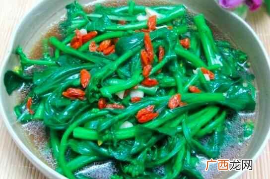 枸杞菜的做法