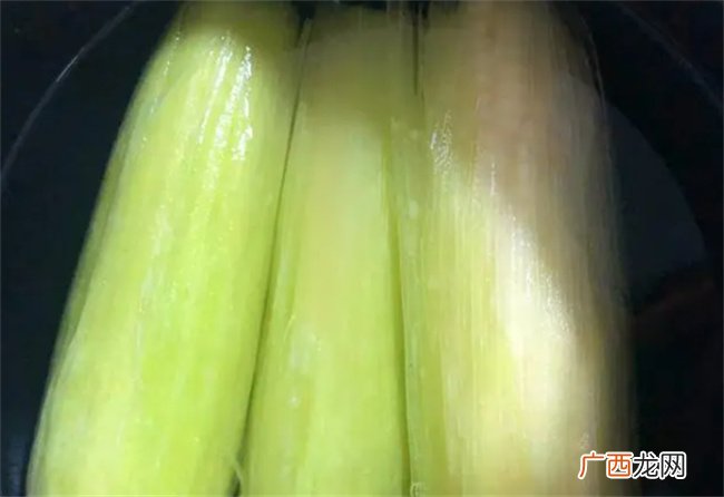 煮玉米需要多长时间 冷水下锅的玉米煮多久