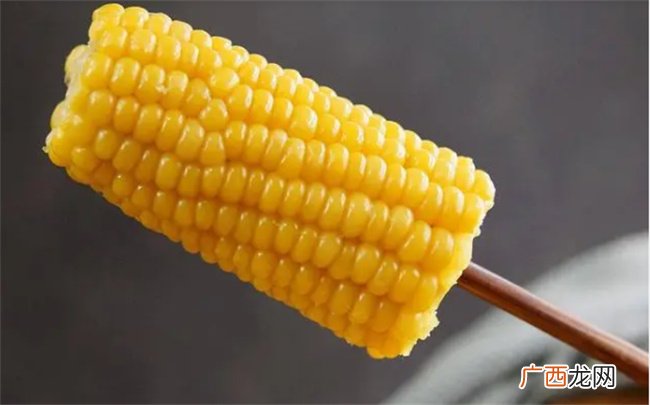 煮玉米需要多长时间 冷水下锅的玉米煮多久