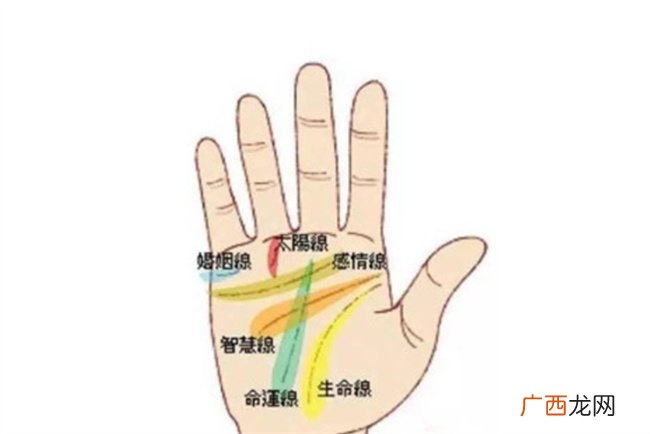 什么样的手相事业有成