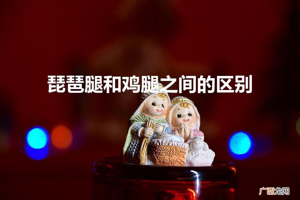 琵琶腿和鸡腿的区别 琵琶腿和鸡腿之间的区别