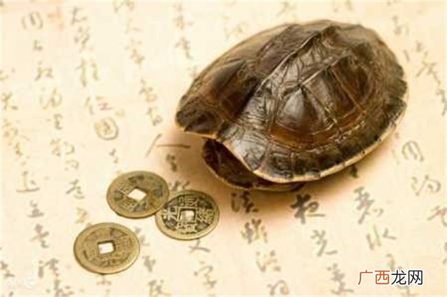 八字伤官指什么