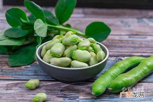 蚕豆的营养价值及功效