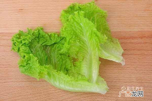 生菜的营养价值及功效