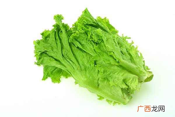 生菜的营养价值及功效