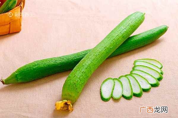 丝瓜的营养价值及功效有哪些