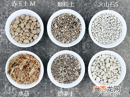 适合栽培多肉的土壤类型 多肉植物用什么土好养