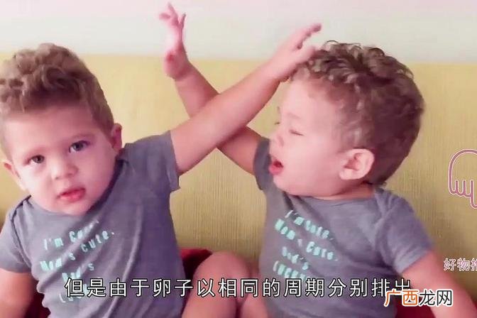 孪生妊娠知识解析 龙凤胎为什么会克父母