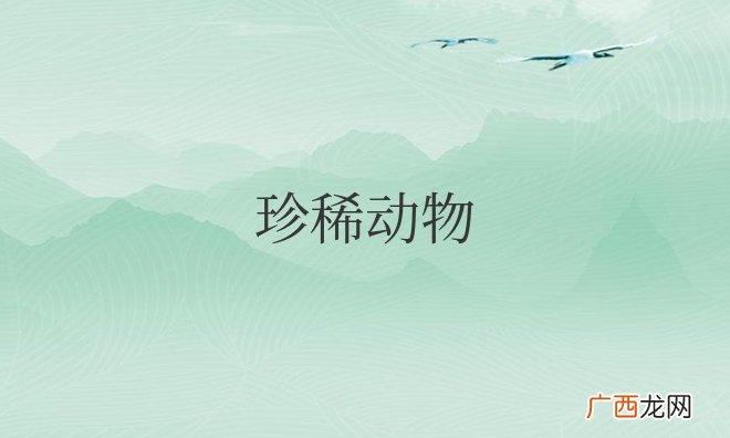 世界上珍稀动物前十名 珍稀动物是什么意思