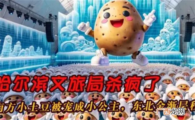 为何各地文旅局都疯了