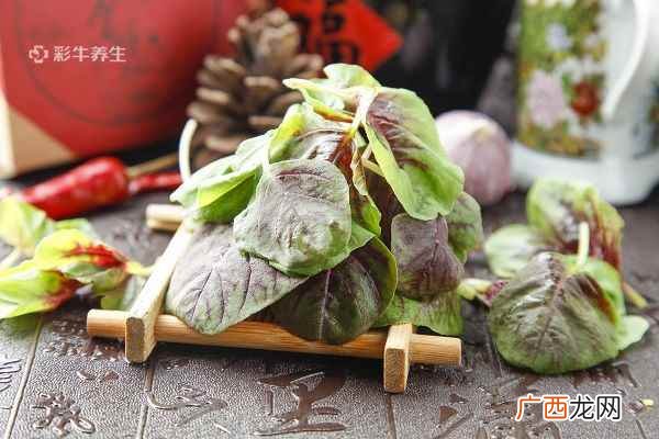 苋菜的营养价值及功效与作用