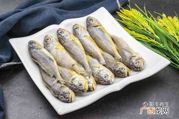 小黄鱼的营养价值及功效与作用