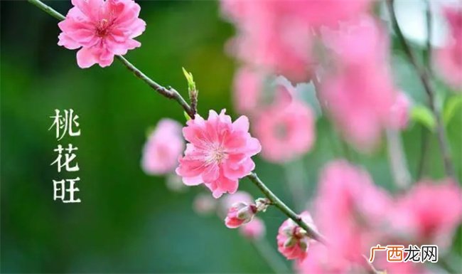 ?梦见什么预示着爱情 哪些梦代表桃花运来了