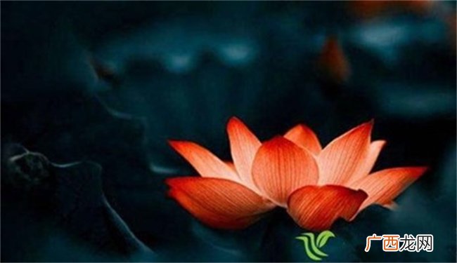 克夫命是什么样的八字