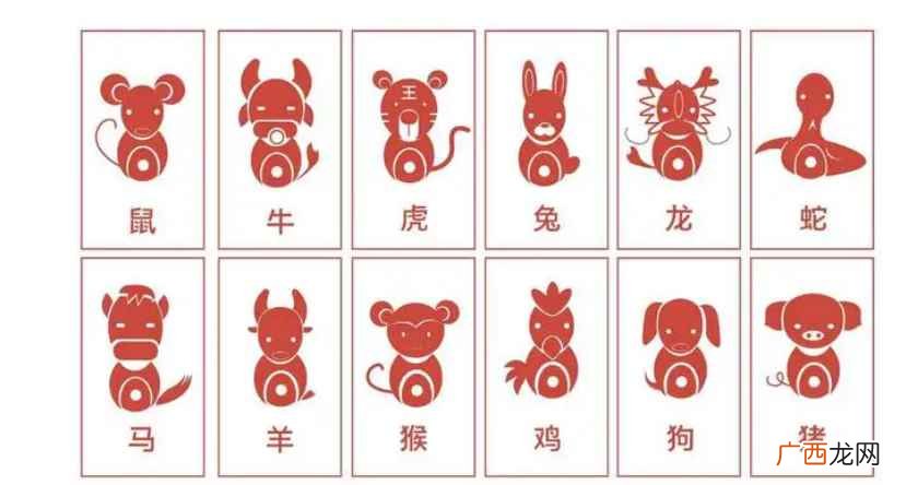 后肖是哪几个生肖？