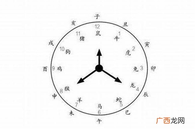辰时出生的人命运好不好