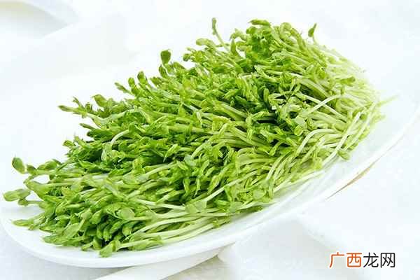 豌豆发芽了还可以吃吗